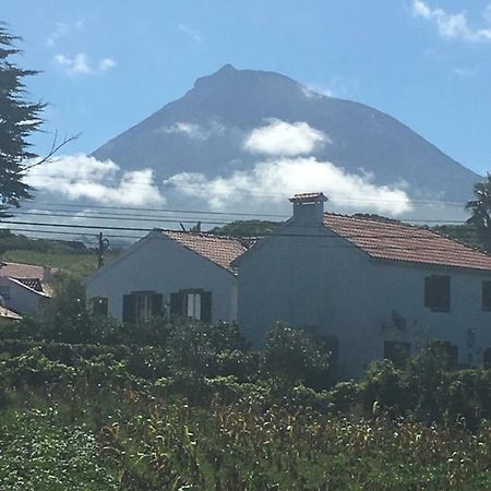 Home Pico - Casa Dos Cedros Criacao Velha Dış mekan fotoğraf