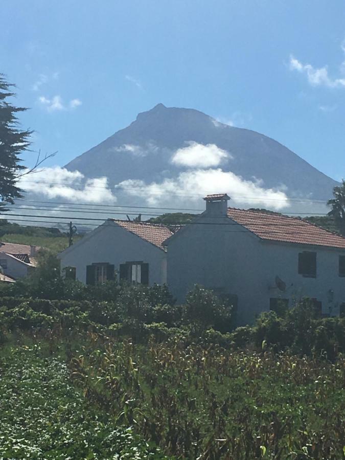 Home Pico - Casa Dos Cedros Criacao Velha Dış mekan fotoğraf